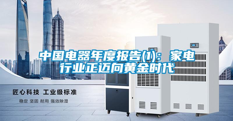 中國(guó)電器年度報(bào)告(1):家電行業(yè)正邁向黃金時(shí)代