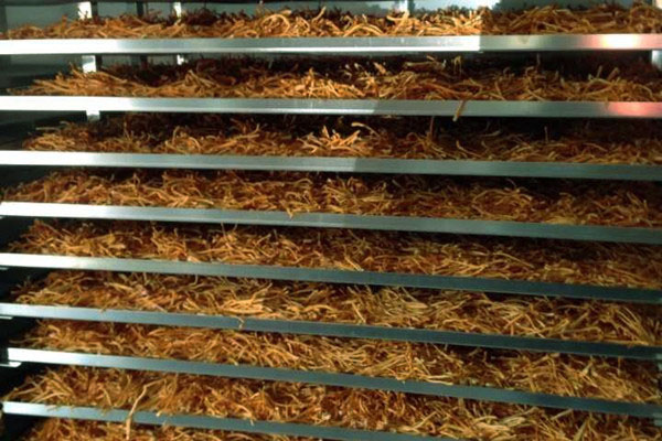 1525656169725507.jpg 7.jpg