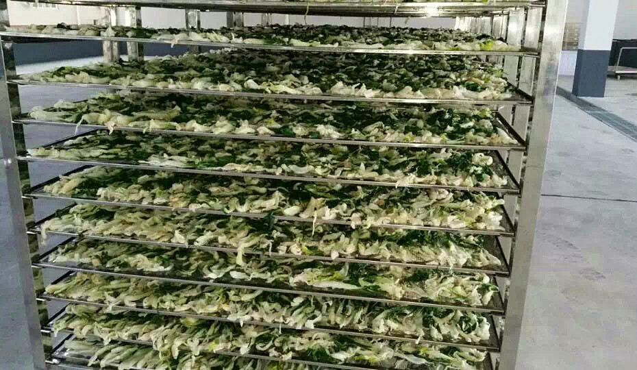 菜干需求一直都很大，蔬菜烘干機很有市場