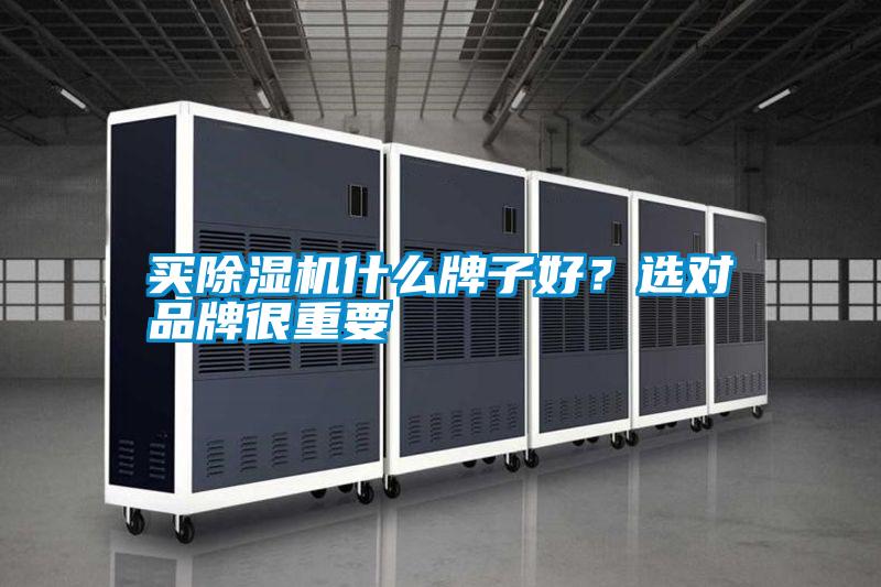 買除濕機(jī)什么牌子好?選對品牌很重要
