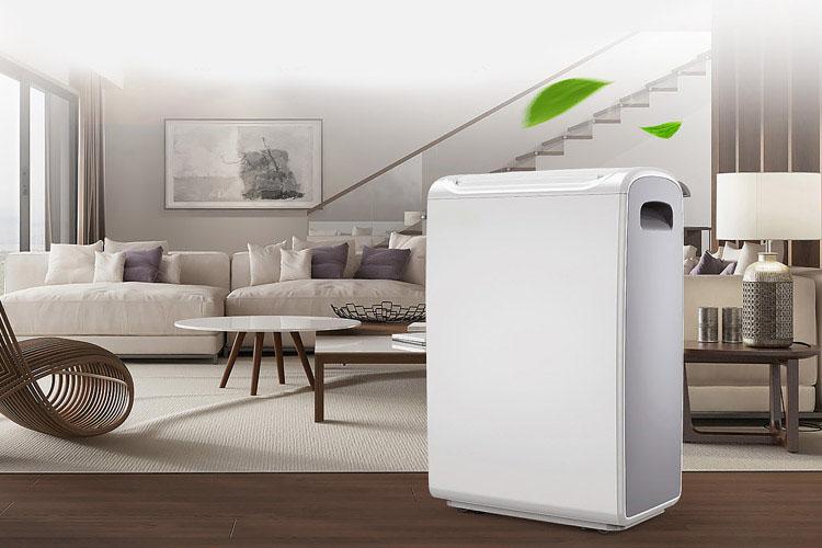 主婦分享，除濕機選購心得