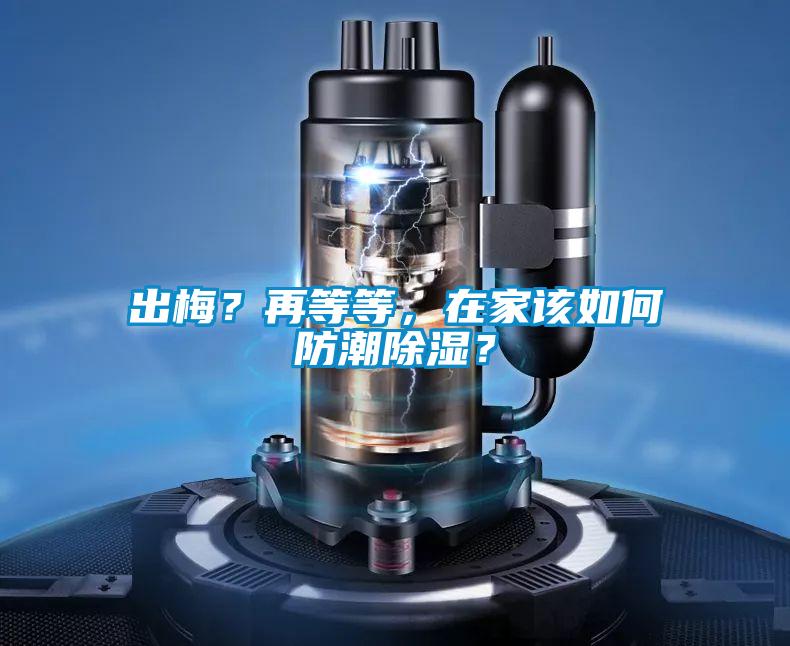 出梅？再等等，在家該如何防潮除濕？