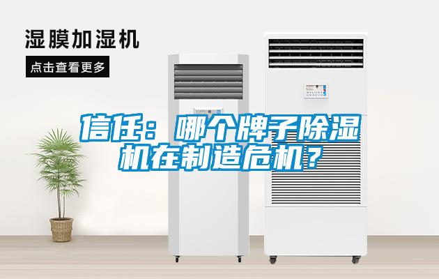 信任:哪個(gè)牌子除濕機(jī)在制造危機(jī)?