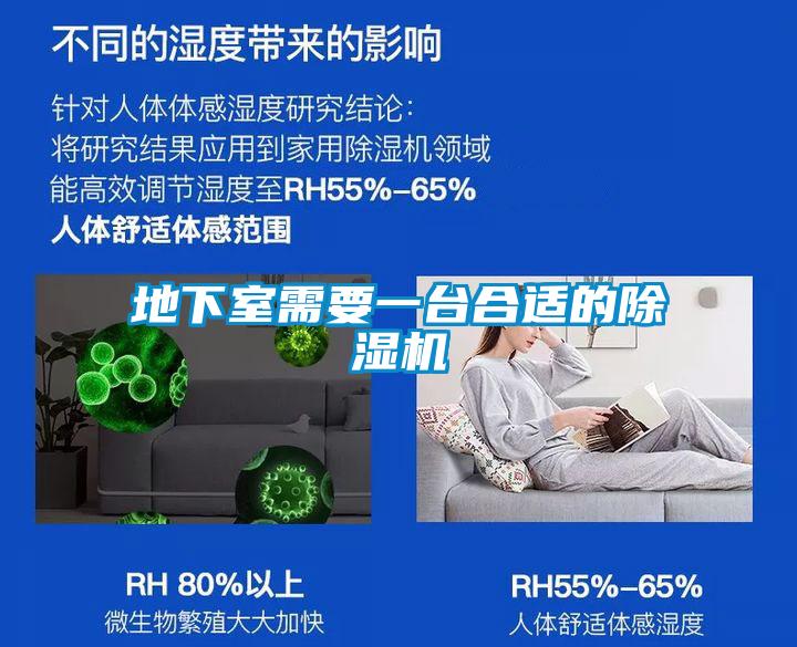 地下室需要一臺合適的除濕機(jī)