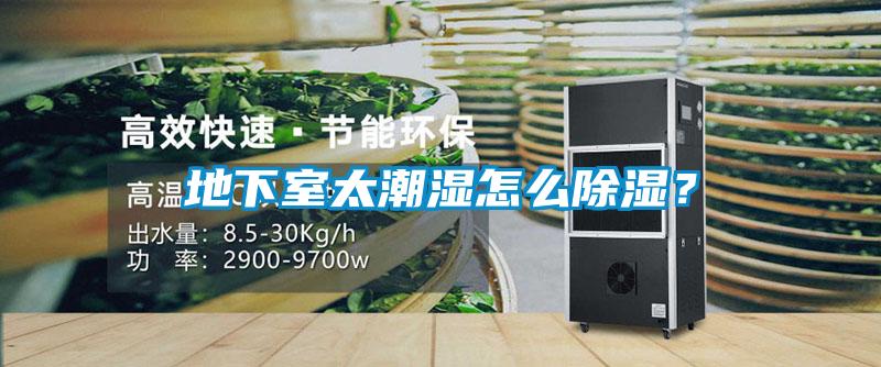 地下室太潮濕怎么除濕？