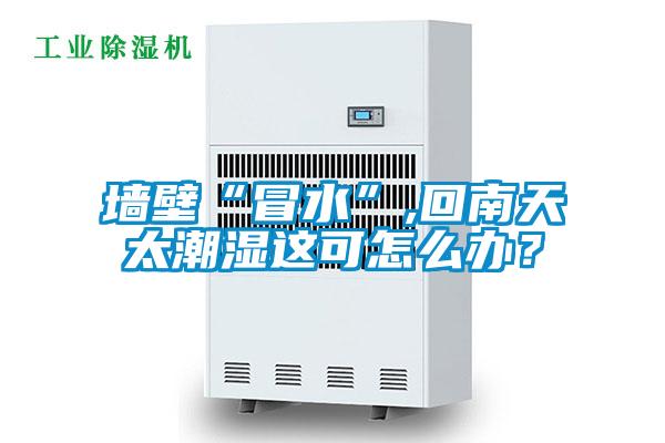 墻壁“冒水”,回南天太潮濕這可怎么辦？