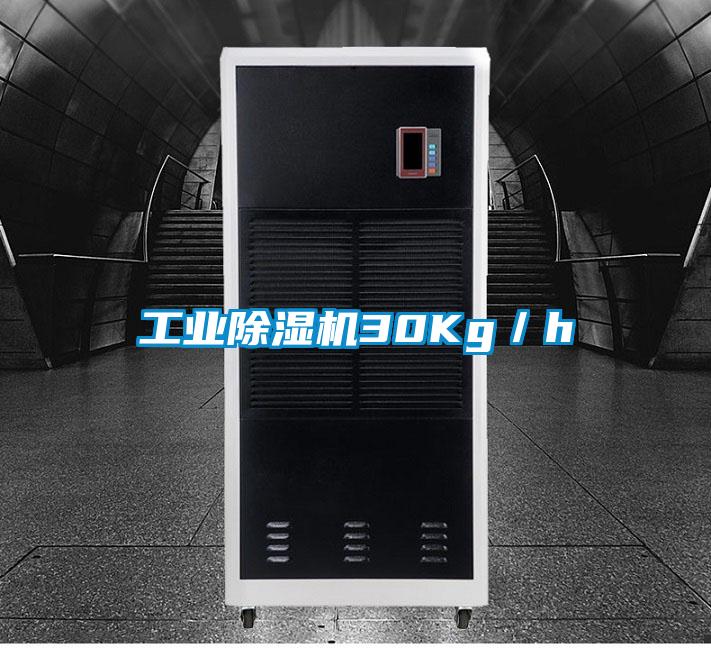 工業除濕機30Kg/h