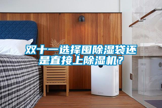 雙十一選擇囤除濕袋還是直接上除濕機?