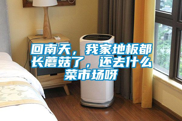 回南天,我家地板都長(zhǎng)蘑菇了,還去什么菜市場(chǎng)呀