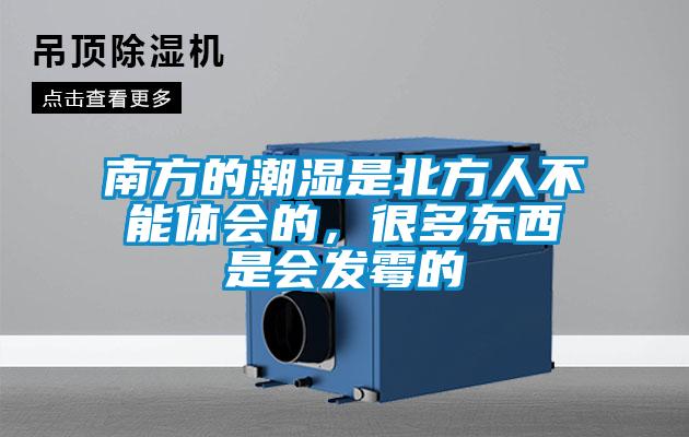 南方的潮濕是北方人不能體會的，很多東西是會發(fā)霉的