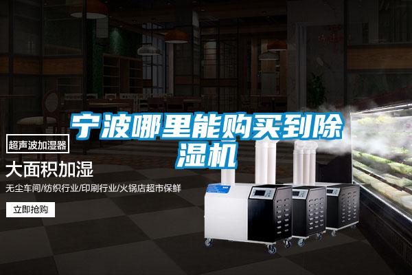 寧波哪里能購(gòu)買(mǎi)到除濕機(jī)