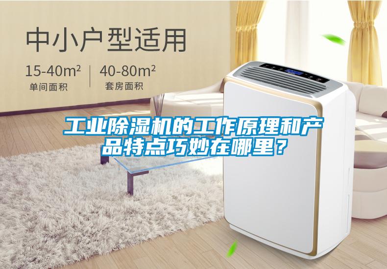 工業(yè)除濕機的工作原理和產(chǎn)品特點巧妙在哪里？