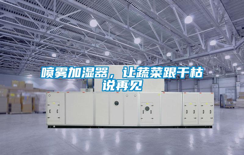 噴霧加濕器,讓蔬菜跟干枯說再見