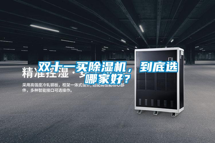 雙十一買除濕機，到底選哪家好？