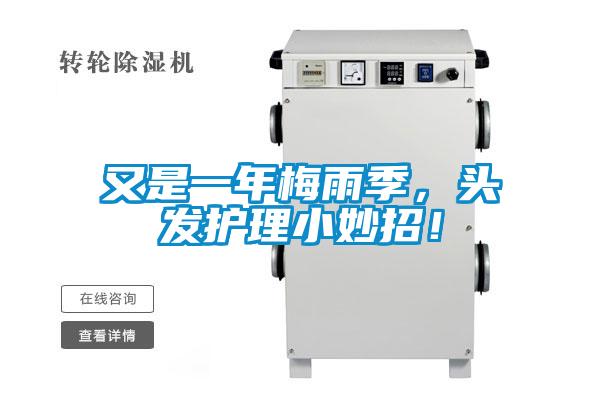 又是一年梅雨季,頭發(fā)護(hù)理小妙招!