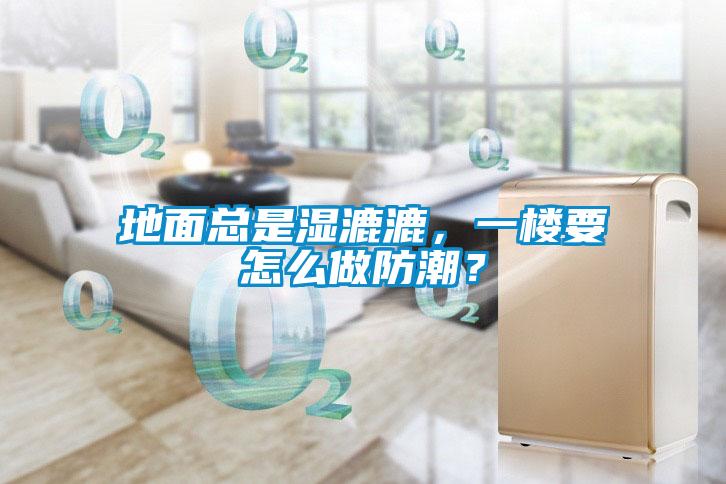 地面總是濕漉漉,一樓要怎么做防潮?