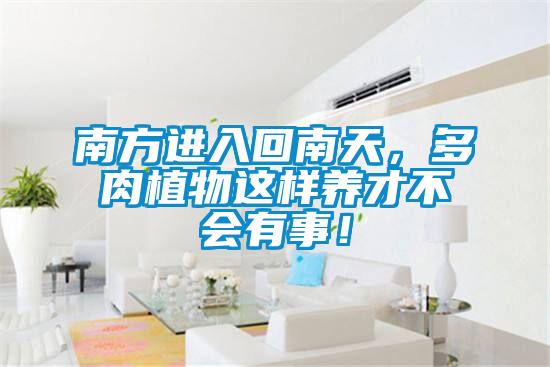 南方進入回南天，多肉植物這樣養才不會有事！