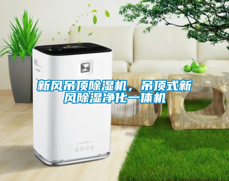 新風吊頂除濕機,吊頂式新風除濕凈化一體機