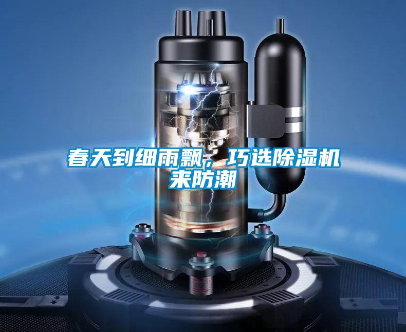春天到細(xì)雨飄,巧選除濕機(jī)來防潮