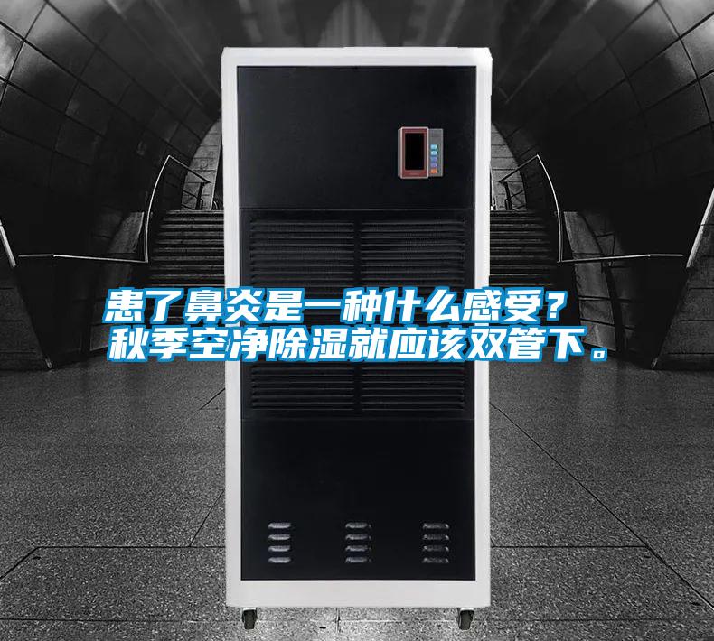 患了鼻炎是一種什么感受？ 秋季空凈除濕就應該雙管下。