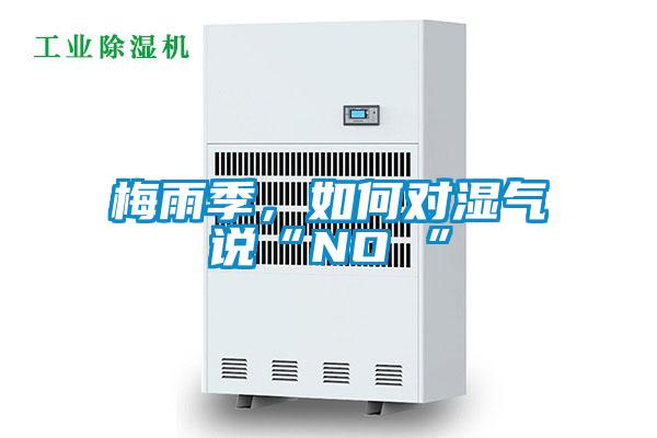 梅雨季，如何對濕氣說“NO ”