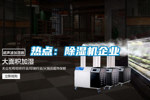 熱點:除濕機企業
