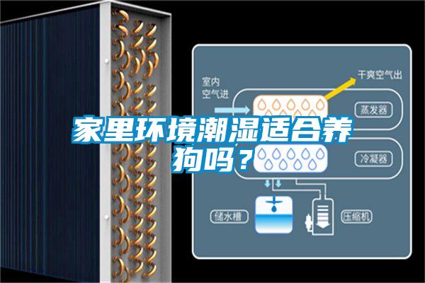 家里環境潮濕適合養狗嗎?