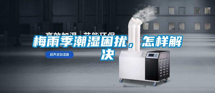 梅雨季潮濕困擾,怎樣解決