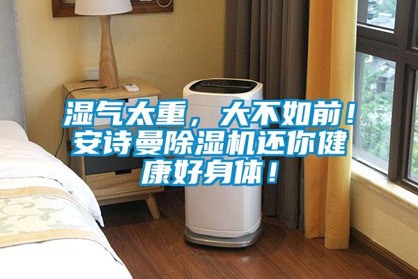 濕氣太重,大不如前!安詩曼除濕機還你健康好身體!
