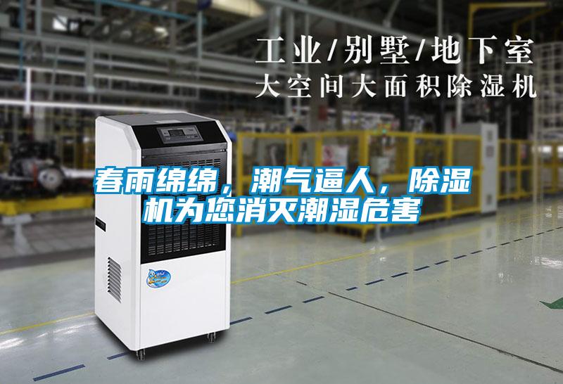 春雨綿綿，潮氣逼人，除濕機為您消滅潮濕危害