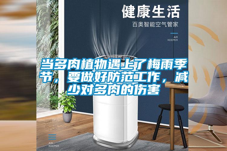 當多肉植物遇上了梅雨季節(jié)，要做好防范工作，減少對多肉的傷害