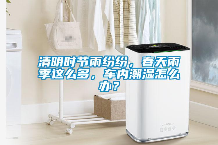 清明時節雨紛紛，春天雨季這么多，車內潮濕怎么辦？