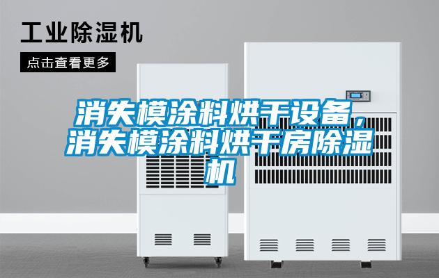 消失模涂料烘干設備，消失模涂料烘干房除濕機