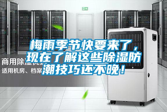 梅雨季節快要來了，現在了解這些除濕防潮技巧還不晚！