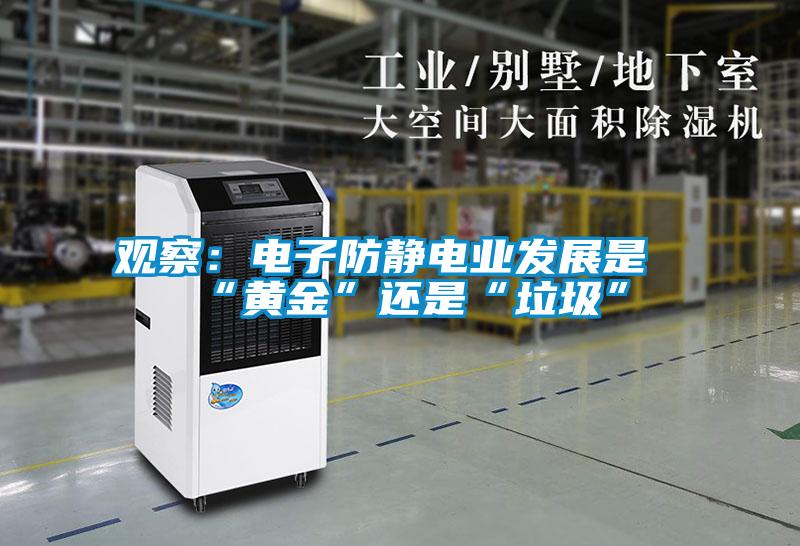 觀察:電子防靜電業發展是“黃金”還是“垃圾”