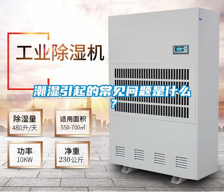 潮濕引起的常見問(wèn)題是什么？