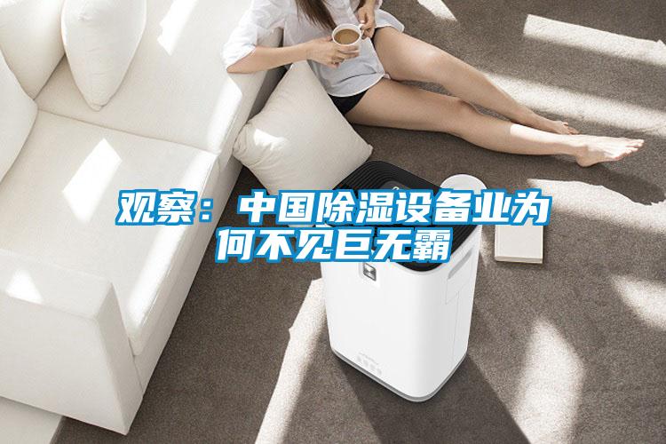 觀察:中國除濕設備業(yè)為何不見巨無霸