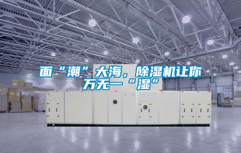 面“潮”大海，除濕機讓你萬無一“濕”
