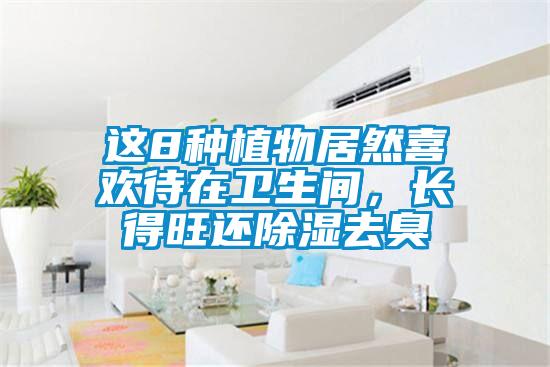 這8種植物居然喜歡待在衛(wèi)生間,長(zhǎng)得旺還除濕去臭