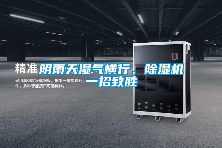 陰雨天濕氣橫行，除濕機一招致勝