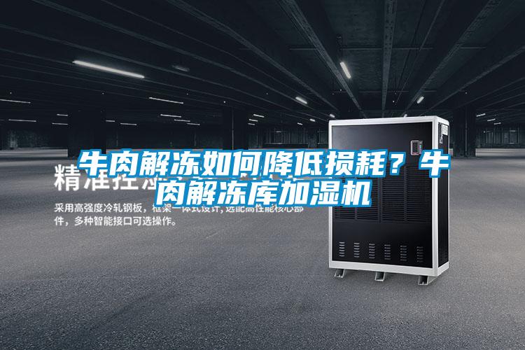 牛肉解凍如何降低損耗?牛肉解凍庫加濕機