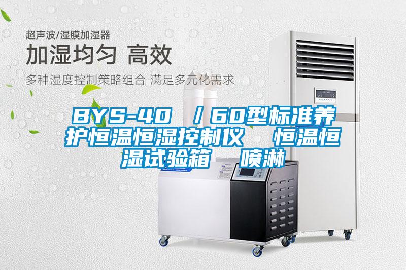 BYS-40 /60型標準養護恒溫恒濕控制儀 恒溫恒濕試驗箱 噴淋