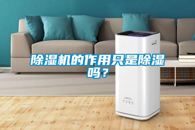 除濕機的作用只是除濕嗎?