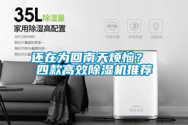 還在為回南天煩惱？ 四款高效除濕機推薦