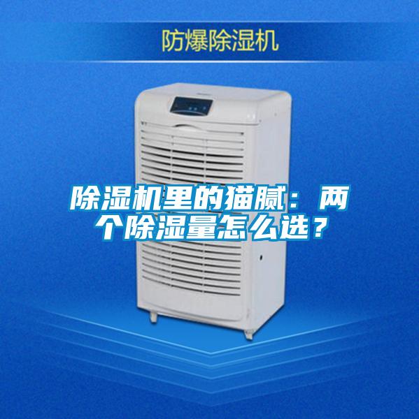 除濕機里的貓膩:兩個除濕量怎么選?