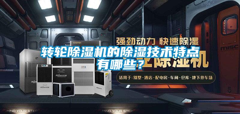 轉(zhuǎn)輪除濕機的除濕技術(shù)特點有哪些?
