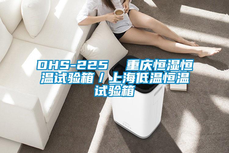 DHS-225 重慶恒濕恒溫試驗箱/上海低溫恒溫試驗箱