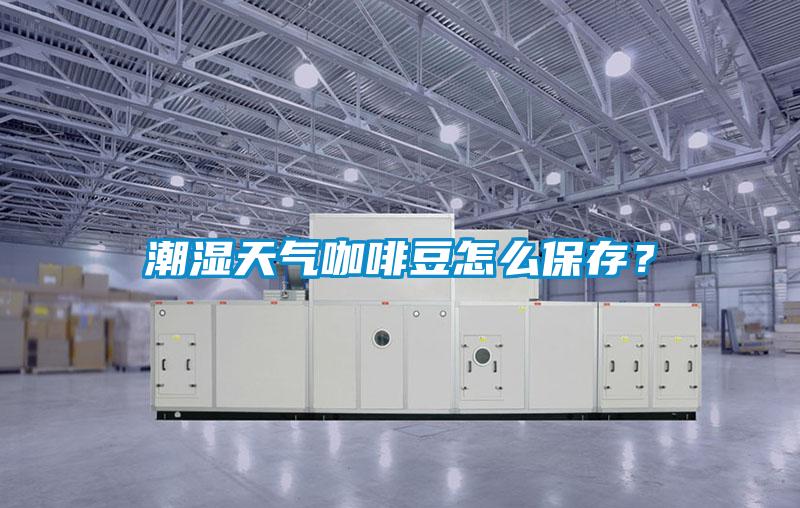 潮濕天氣咖啡豆怎么保存？