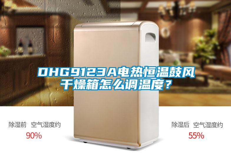 DHG9123A電熱恒溫鼓風干燥箱怎么調溫度?