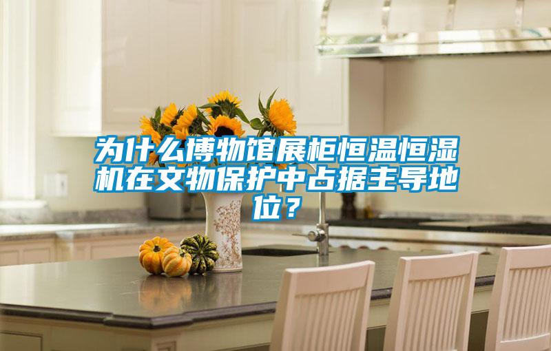 為什么博物館展柜恒溫恒濕機在文物保護(hù)中占據(jù)主導(dǎo)地位？